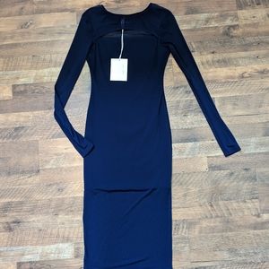 Sheer net, peekaboo long sleeve bodycon dress